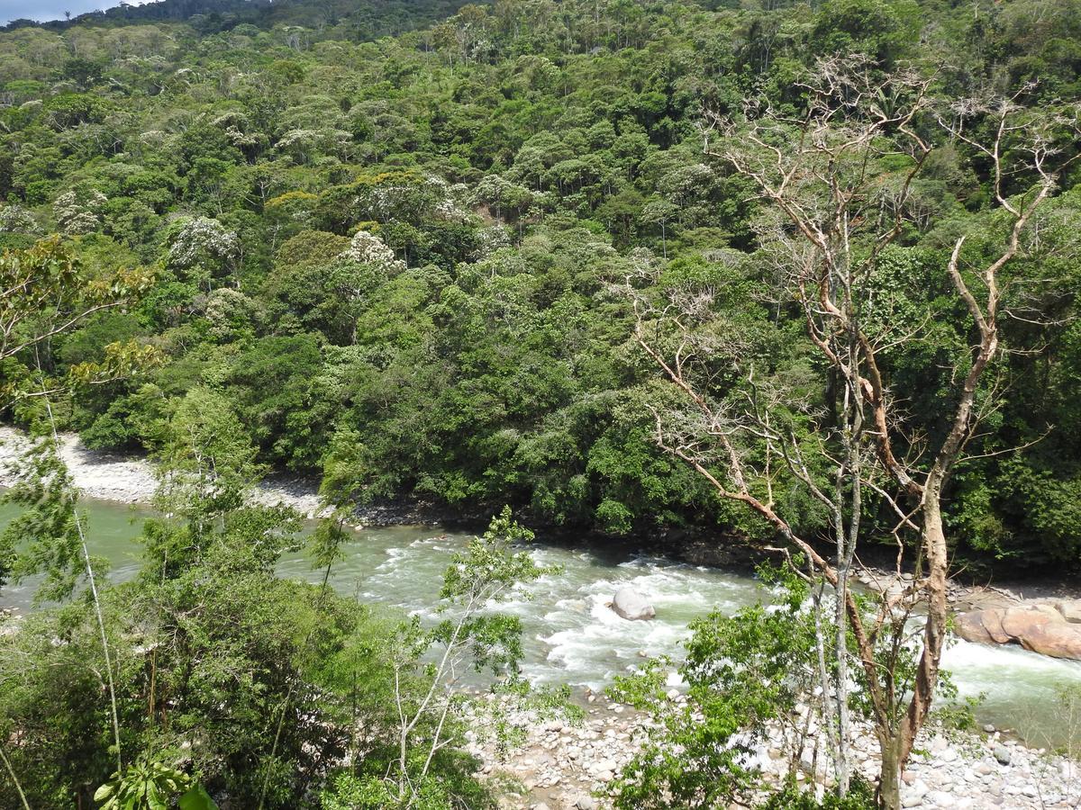 Posada Turistica Dantayaco Mocoa ภายนอก รูปภาพ